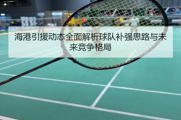 海港引援动态全面解析球队补强思路与未来竞争格局