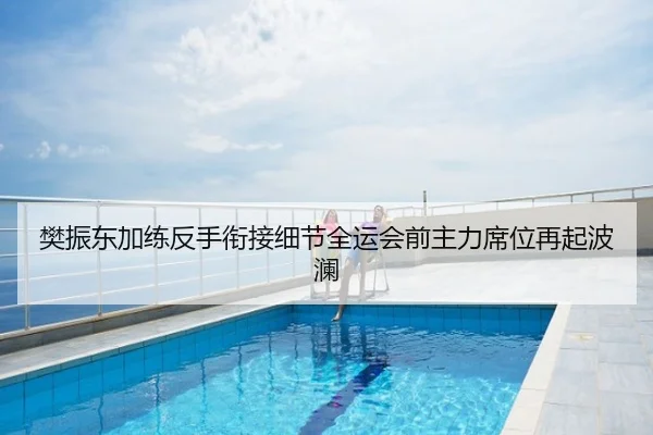 樊振东加练反手衔接细节全运会前主力席位再起波澜