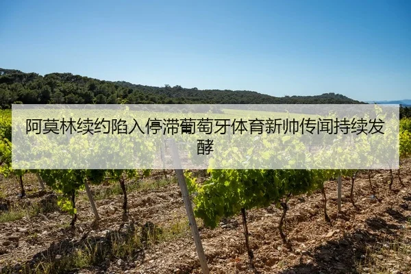 阿莫林续约陷入停滞葡萄牙体育新帅传闻持续发酵